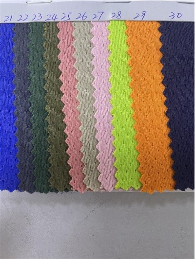 ZJ-DC S0242 細鳥眼 克重：220GSM  門幅：185CM   成份：100%Polyester 吸濕排汗 側面照